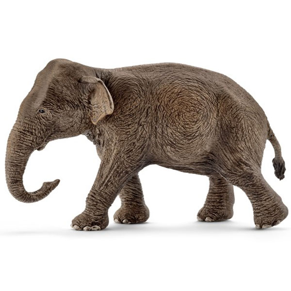 Schleich Azijski slon, ženka 14753 - ODDO igračke