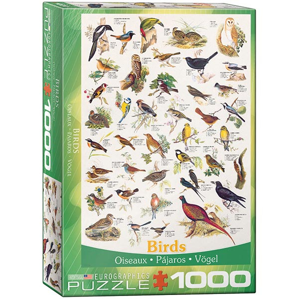 Eurographics puzzle Birds of Fields and Gardens 1000 pcs 6000-1259 - ODDO igračke