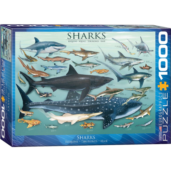 Eurographics Sharks Ajkule 1000-Piece Puzzle 6000-0079 - ODDO igračke