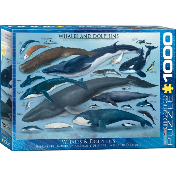 Eurographics Whales and Dolphins 1000-Piece Puzzle 6000-0082 - ODDO igračke