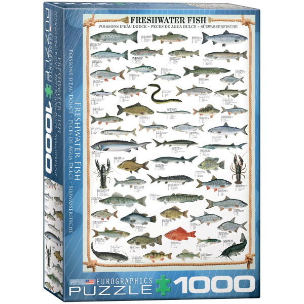 Eurographics Freshwater Fish 1000-Piece Puzzle 6000-0312 - ODDO igračke